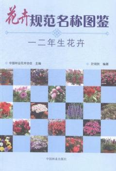 ����Ҏ(gu��)�����Q(ch��ng)�D�b-һ����������