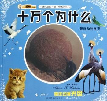 H(dng)ؐ-ʮf(wn)(g)ʲô-ٛ(zng)̈́(dng)P