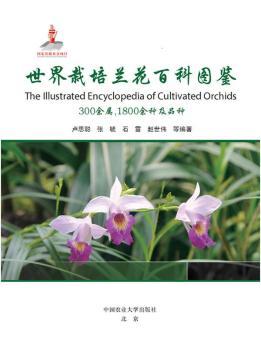 mٿƈDb:3001800NƷN